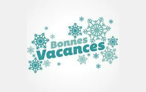 🏸 CRÉNEAUX VACANCES D'HIVER : TORCY BADMINTON CLUB 🏸